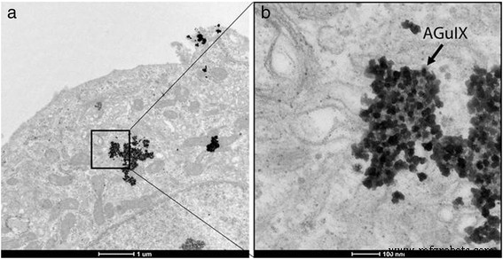 64Cu‑Labeled AGuIX Nanoprobes: PET‑Guided Radiotherapy and Radiosensitization in HepG2 Tumor‑Bearing Mice