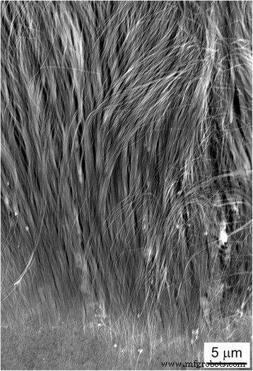 High-Aspect-Ratio Fe Nanowire Arrays with Tailored Texture via Pulsed-Potential Electrodeposition: Uniaxial Magnetization Performance