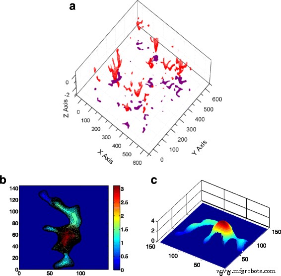 From Nanoscale to Macroscale: How Rough Surfaces  Contact Area Evolves Under Normal Load