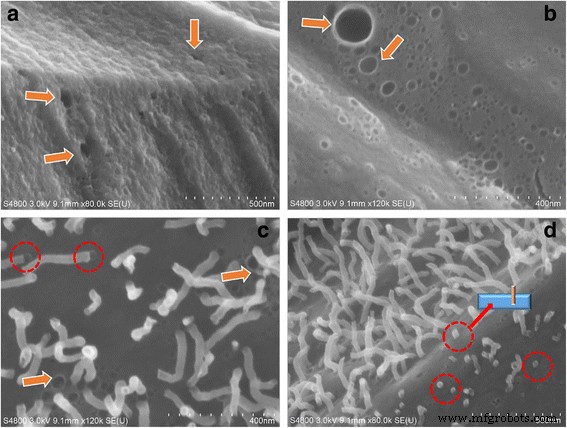 High‑Performance Ag‑Nanohair‑Coated Activated Carbon Fibers via Self‑Assembly and Rapid Thermal Annealing