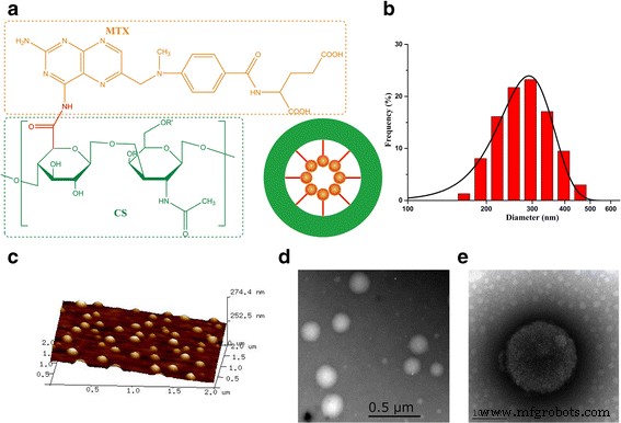 Targeted Anti‑Tumor Delivery of Methotrexate via Chondroitin Sulfate‑Based Nanogels