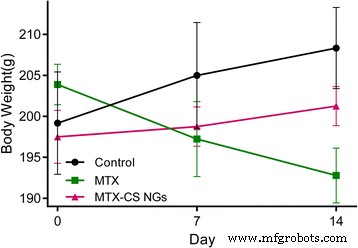 Targeted Anti‑Tumor Delivery of Methotrexate via Chondroitin Sulfate‑Based Nanogels