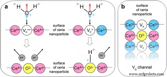 Dynamic Cerium Oxidation State Oscillations Triggered by Oxygen Diffusion in Colloidal Nanoceria