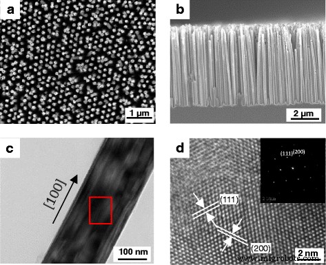 Rectification and Photodetection in Si Nanowire Devices Aligned by DC Dielectrophoresis Across Platinum Electrodes