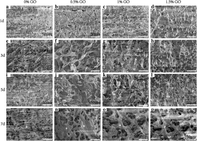 Graphene Oxide‑Integrated nHAC/PLGA Scaffolds Promote Osteoblast Proliferation and Bone Regeneration