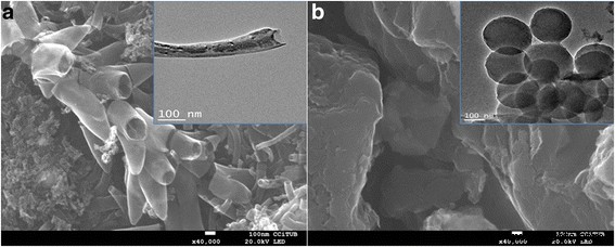 Comparative Analysis of Carbon Nanofiber and Activated Carbon Symmetric Supercapacitors in Aqueous Electrolyte
