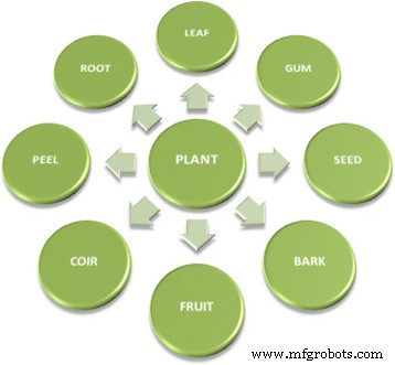 Green Production of Copper Nanoparticles: Catalytic, Antibacterial, Cytotoxic, and Antioxidant Potentials