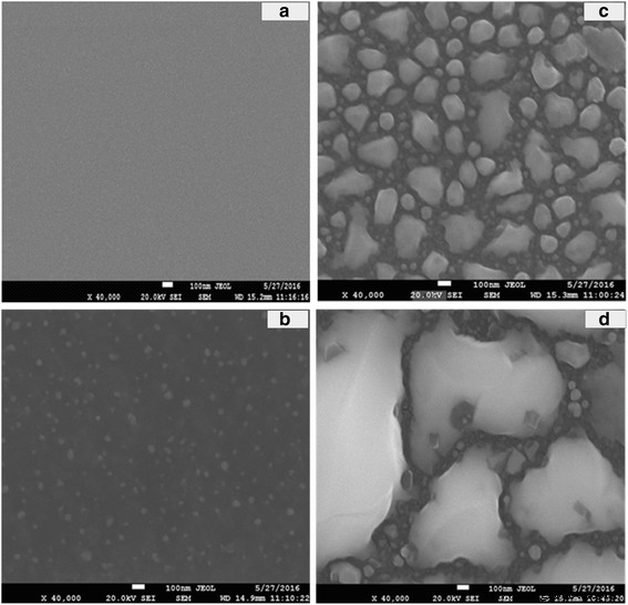 Engineering n-Type GeBi Thin Films by Molecular Beam Epitaxy: Crystalline Control and Infrared/THz Optical Performance