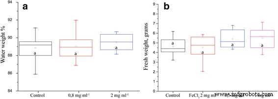 Maghemite Nanoparticles Enhance Growth and Drought Tolerance in Brassica napus by Acting as Nanozymes