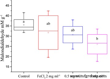 Maghemite Nanoparticles Enhance Growth and Drought Tolerance in Brassica napus by Acting as Nanozymes
