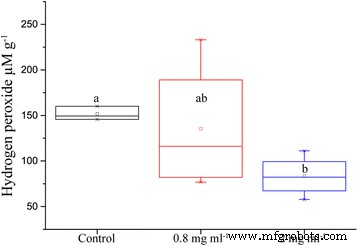 Maghemite Nanoparticles Enhance Growth and Drought Tolerance in Brassica napus by Acting as Nanozymes