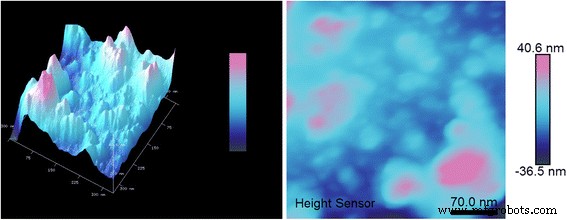 Maghemite Nanoparticles Enhance Growth and Drought Tolerance in Brassica napus by Acting as Nanozymes