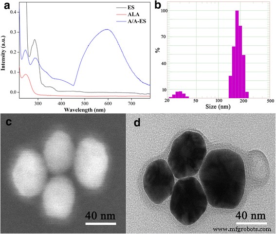 Biocompatible 5‑Aminolevulinic Acid / Gold Nanoparticle‑Loaded Ethosomal Vesicles: A Synergistic Photodynamic/Photothermal Transdermal Strategy for Hypertrophic Scar Treatment