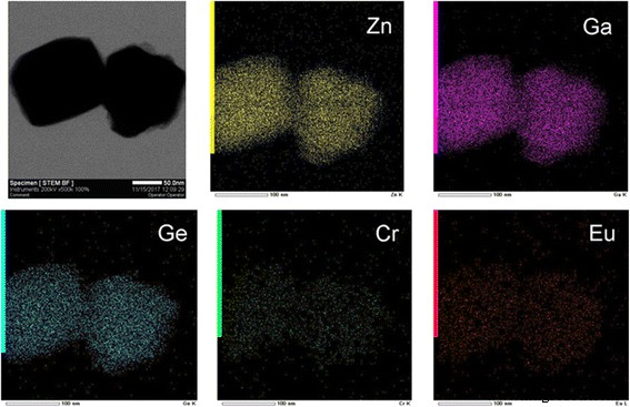 Long‑Lasting Near‑Infrared Persistent Luminescent Nanoparticles Co‑doped with Cr³⁺/Eu³⁺ for Advanced Cell Imaging