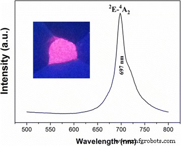 Long‑Lasting Near‑Infrared Persistent Luminescent Nanoparticles Co‑doped with Cr³⁺/Eu³⁺ for Advanced Cell Imaging