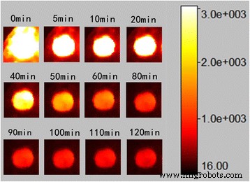 Long‑Lasting Near‑Infrared Persistent Luminescent Nanoparticles Co‑doped with Cr³⁺/Eu³⁺ for Advanced Cell Imaging