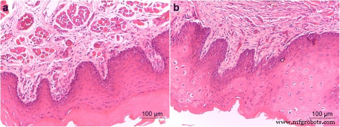 Biocompatibility of Graded Nano‑Glass/Zirconia Dental Materials After Aging