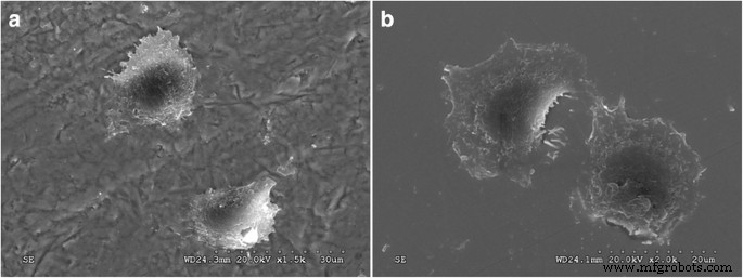 Biocompatibility of Graded Nano‑Glass/Zirconia Dental Materials After Aging
