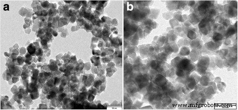 PEG-CoFe₂O₄ Nanoparticles: Assessing Toxicity and Curcumin’s Protective Effect