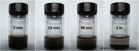 PEG-CoFe₂O₄ Nanoparticles: Assessing Toxicity and Curcumin’s Protective Effect