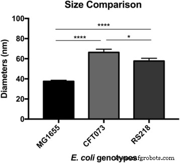 Unveiling E. coli Genotype-Specific Macromolecules Using AFM Nanomechanical Mapping