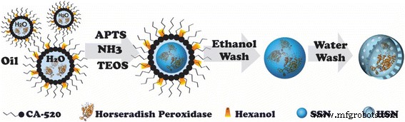 Horseradish Peroxidase‑Encapsulated Hollow Silica Nanospheres for Intracellular ROS Sensing