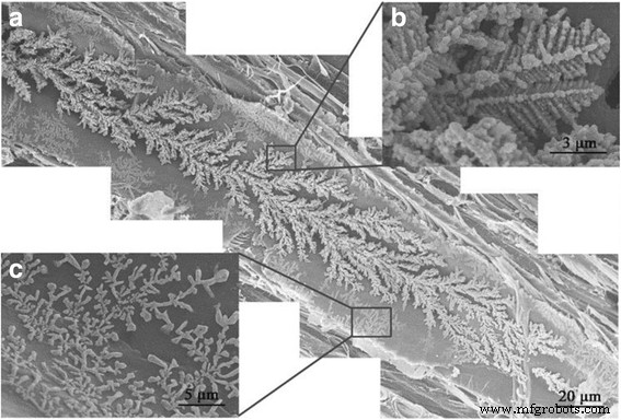 Pure Copper Nanoparticles via Wood Template: Synthesis, Characterization, and Antibacterial Performance