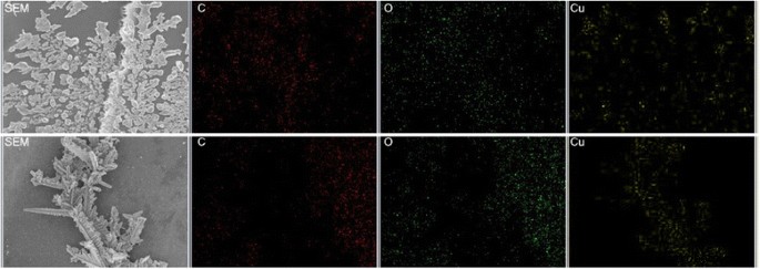 Pure Copper Nanoparticles via Wood Template: Synthesis, Characterization, and Antibacterial Performance