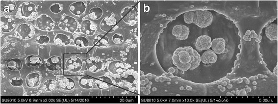 Pure Copper Nanoparticles via Wood Template: Synthesis, Characterization, and Antibacterial Performance