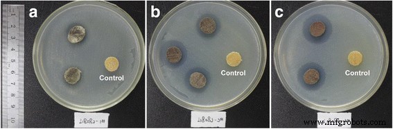Pure Copper Nanoparticles via Wood Template: Synthesis, Characterization, and Antibacterial Performance