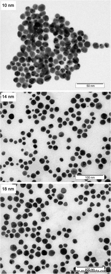 Impact of Gold Nanoparticle Size and Concentration on Root Development in Arabidopsis thaliana