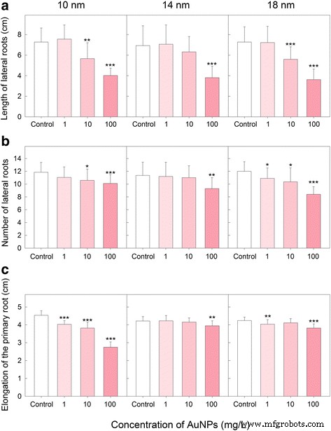 Impact of Gold Nanoparticle Size and Concentration on Root Development in Arabidopsis thaliana