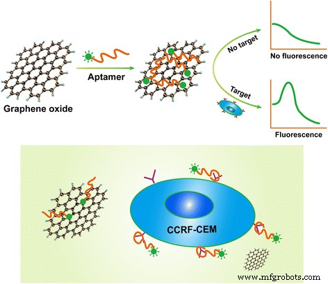 High-Sensitivity Graphene Oxide Fluorescent Aptasensor for Rapid Detection of CCRF-CEM Leukemia Cells