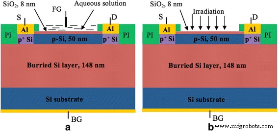 Optimizing Si Nanowire FET Sensors: Photoconductivity, pH Sensitivity, Noise, and Channel Length Effects