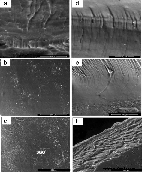 Sodium Alginate–Sulfonated Graphene Oxide Membrane: Superior Proton Conductivity and Low Methanol Permeability for Direct Methanol Fuel Cells