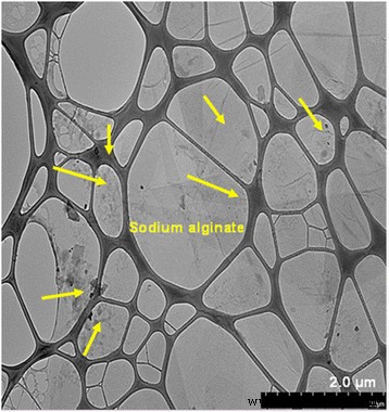 Sodium Alginate–Sulfonated Graphene Oxide Membrane: Superior Proton Conductivity and Low Methanol Permeability for Direct Methanol Fuel Cells