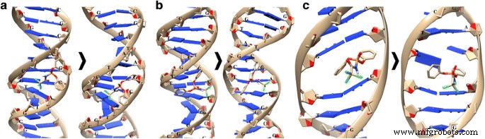 Evaluating C60 Fullerene s Modulation of Diphenyl‑N‑(Trichloroacetyl)amidophosphate-DNA Binding and Cytotoxicity in Human Leukemia Cells