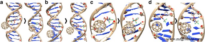 Evaluating C60 Fullerene s Modulation of Diphenyl‑N‑(Trichloroacetyl)amidophosphate-DNA Binding and Cytotoxicity in Human Leukemia Cells