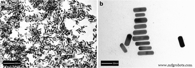 Antibody‑Functionalized Silica‑Coated Gold Nanorods for Rapid Diagnosis and Photothermal Treatment of Cryptococcus neoformans