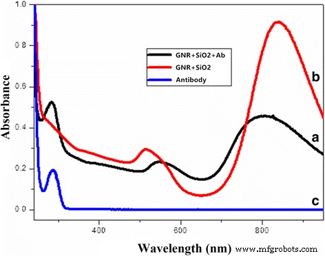 Antibody‑Functionalized Silica‑Coated Gold Nanorods for Rapid Diagnosis and Photothermal Treatment of Cryptococcus neoformans