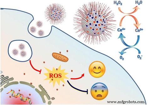 Green‑Synthesized Cerium‑Doped Carbon Nanoparticles Deliver Superior Hydroxyl‑Radical Scavenging for Antioxidant Therapy