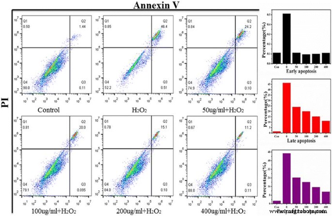 Green‑Synthesized Cerium‑Doped Carbon Nanoparticles Deliver Superior Hydroxyl‑Radical Scavenging for Antioxidant Therapy