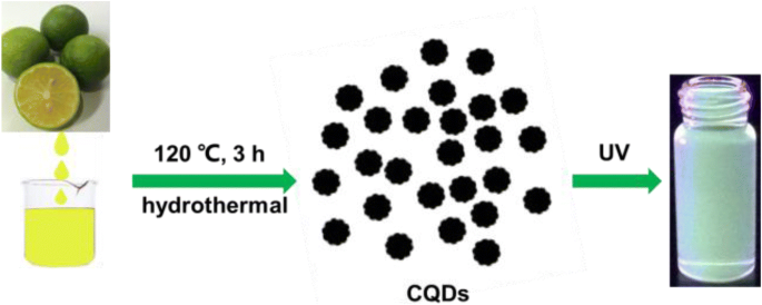 Bright Fluorescent Carbon Quantum Dots from Lemon Juice: Hydrothermal Synthesis and Optical Characterization