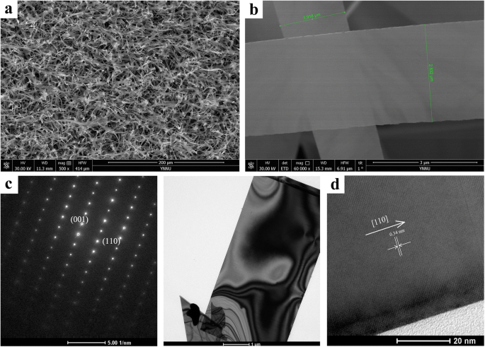 High-Performance Wavelength-Selective Photodetector Using a Single CdSSe Nanobelt