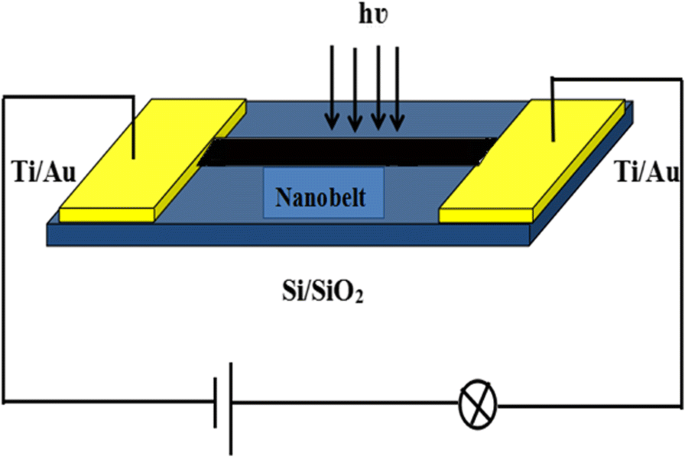 High-Performance Wavelength-Selective Photodetector Using a Single CdSSe Nanobelt