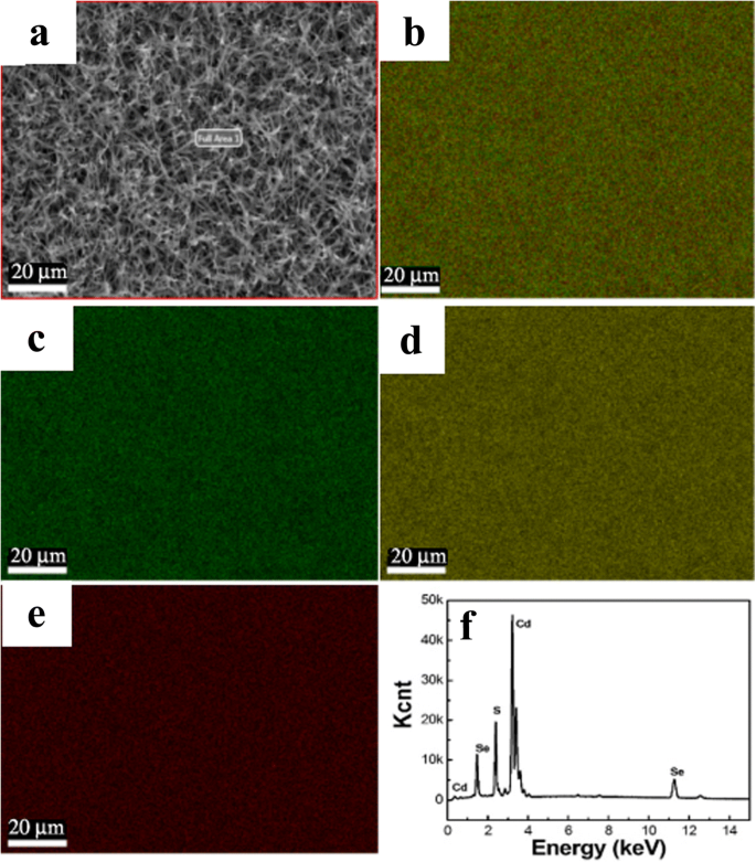 High-Performance Wavelength-Selective Photodetector Using a Single CdSSe Nanobelt