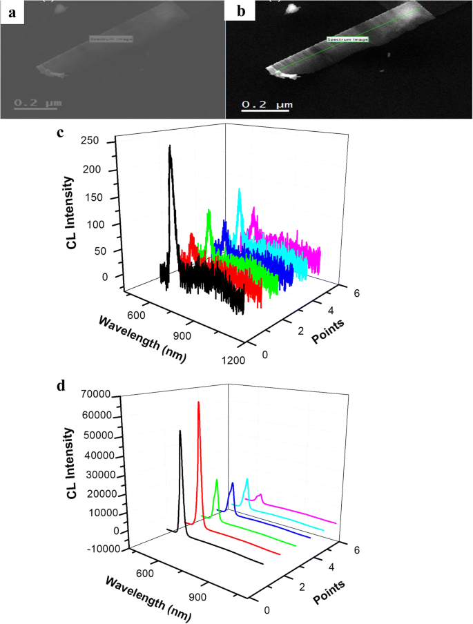 High-Performance Wavelength-Selective Photodetector Using a Single CdSSe Nanobelt