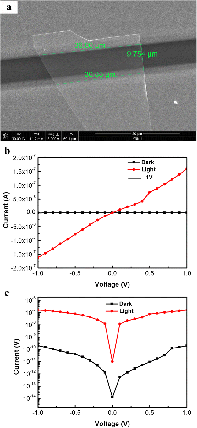 High-Performance Wavelength-Selective Photodetector Using a Single CdSSe Nanobelt