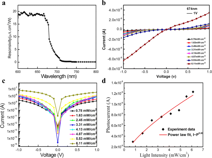 High-Performance Wavelength-Selective Photodetector Using a Single CdSSe Nanobelt