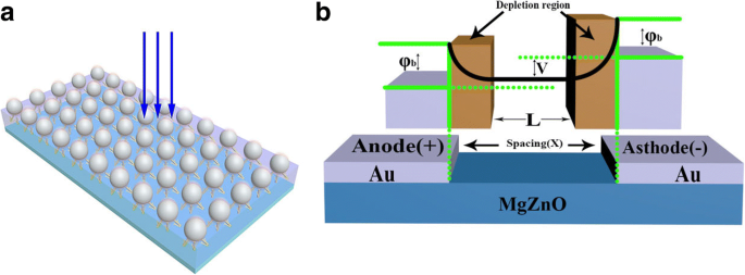 Boosting MgZnO MSM Photodetector Performance with Pt Nanoparticle-Driven Surface Plasmons